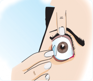 How To Insert Contact Lenses Bausch